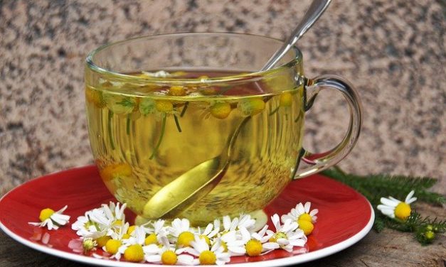 Cómo preparar infusiones medicinales fácilmente